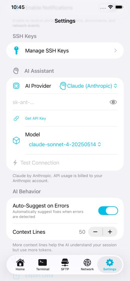NetShell AI assistant settings and chat interface